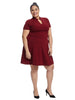Ruffle Neck Burgundy Fit And Flare Dress