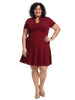 Ruffle Neck Burgundy Fit And Flare Dress