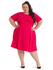 Magenta Fit And Flare Dress