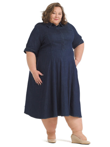 Button Front Denim Fit And Flare Dress