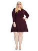 Textured Fit & Flare Sweater Dress In Wine